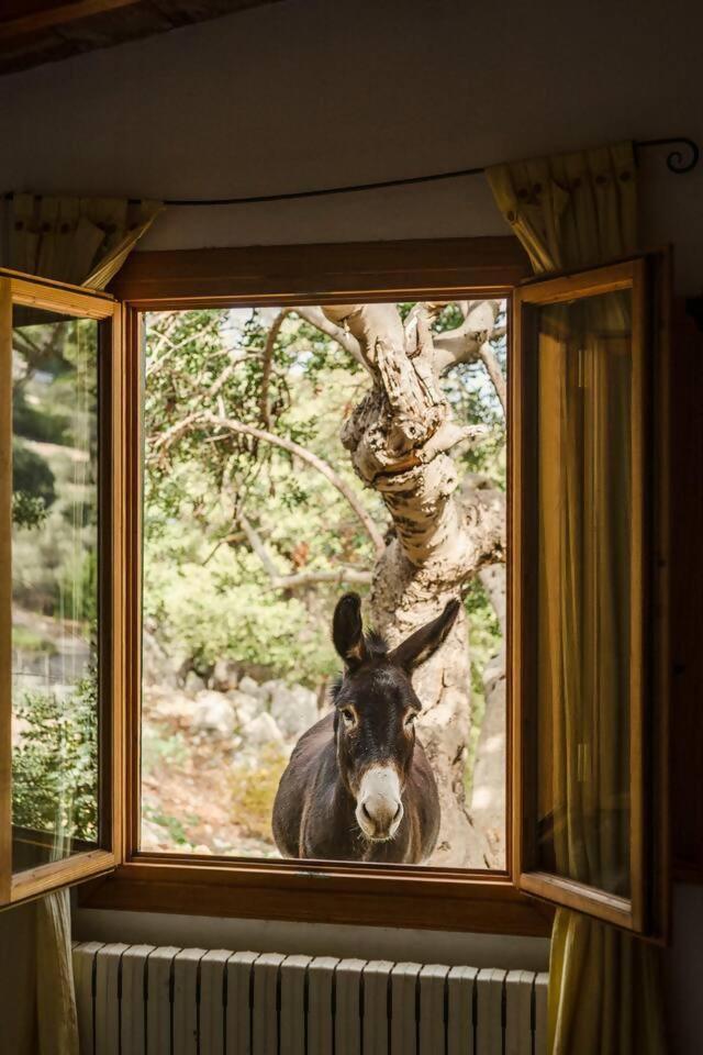 Casa Tramuntana Valldemossa (Mallorca)