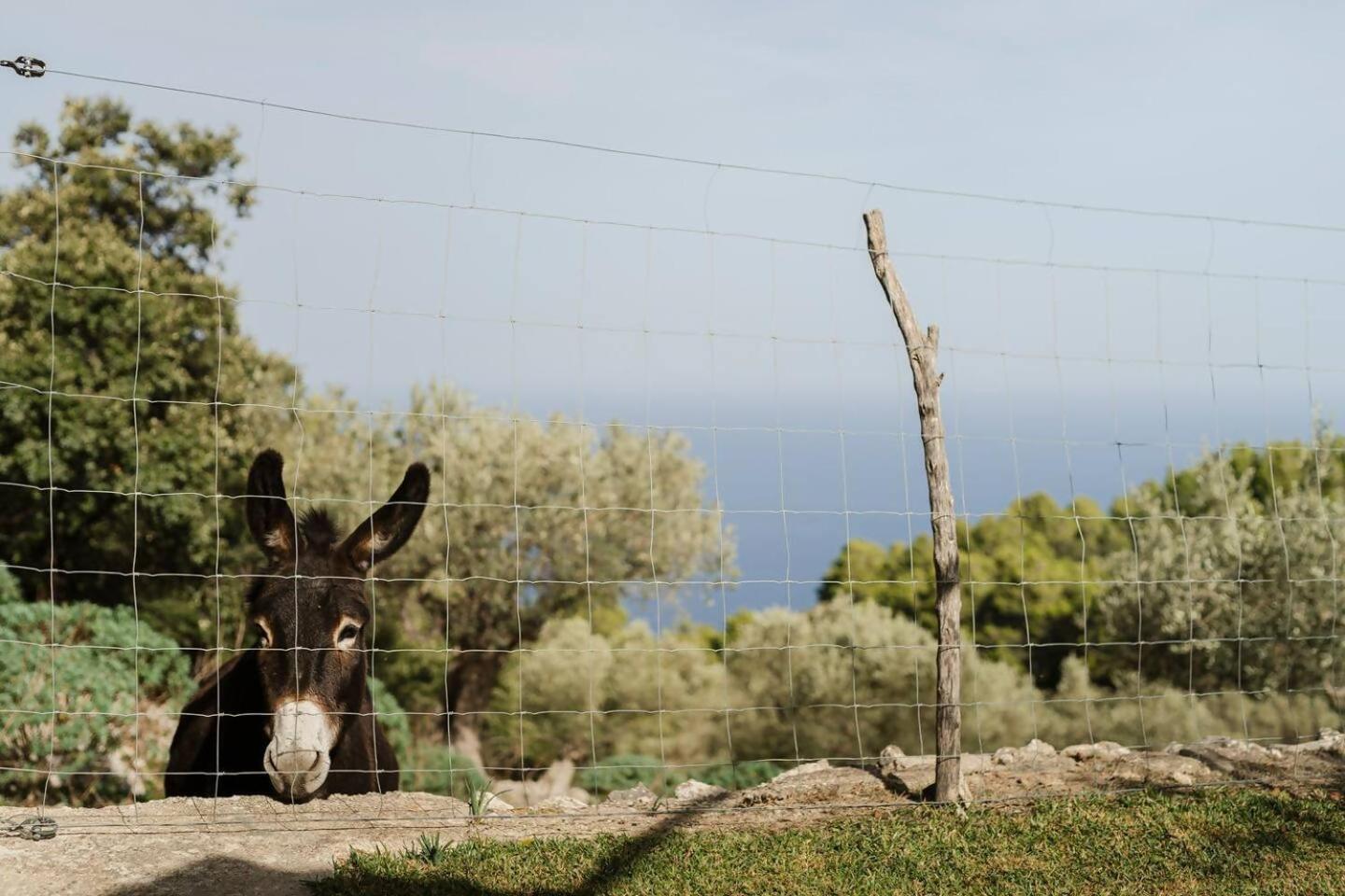 Semesterbostad Casa Tramuntana *