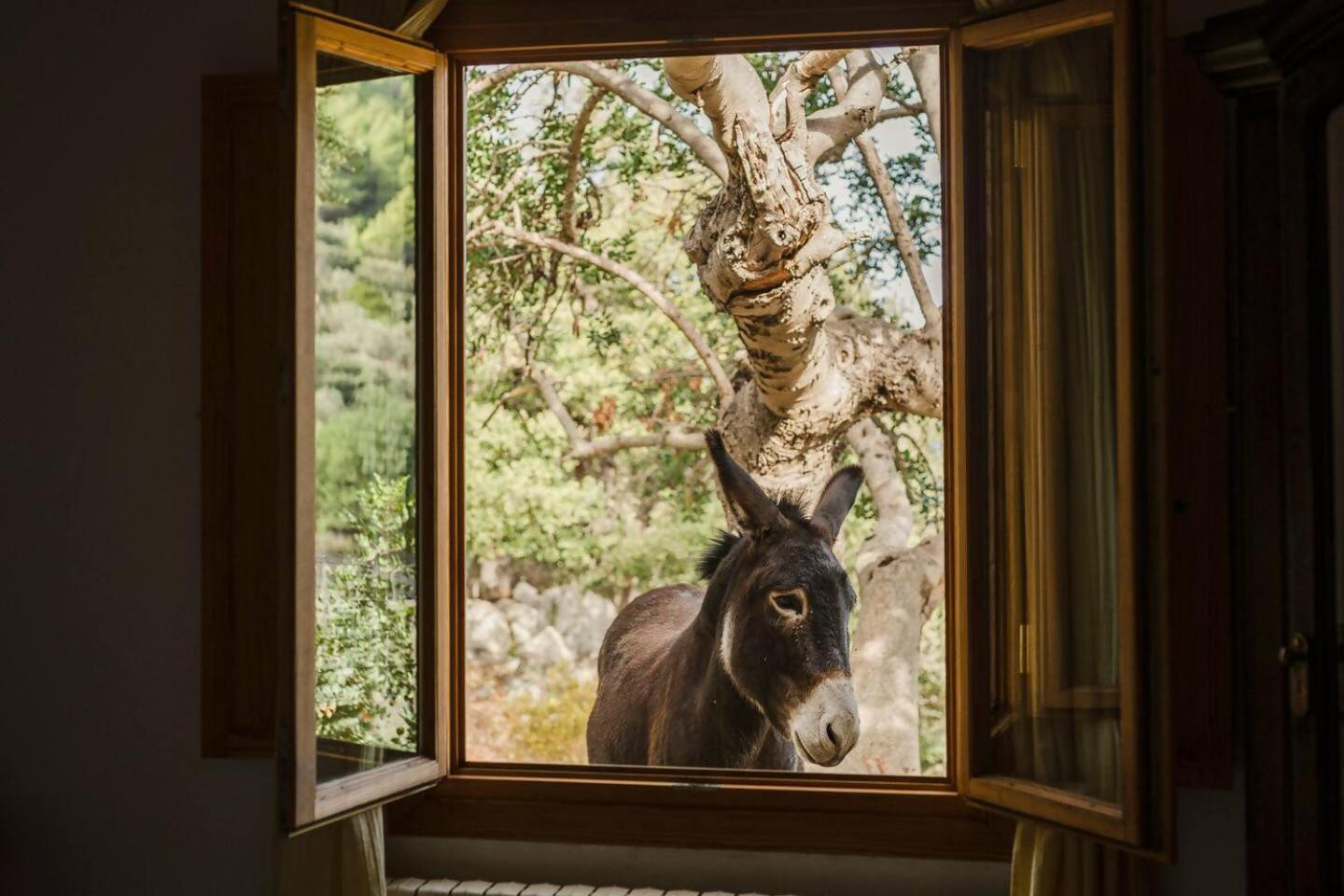 Casa Tramuntana Semesterbostad