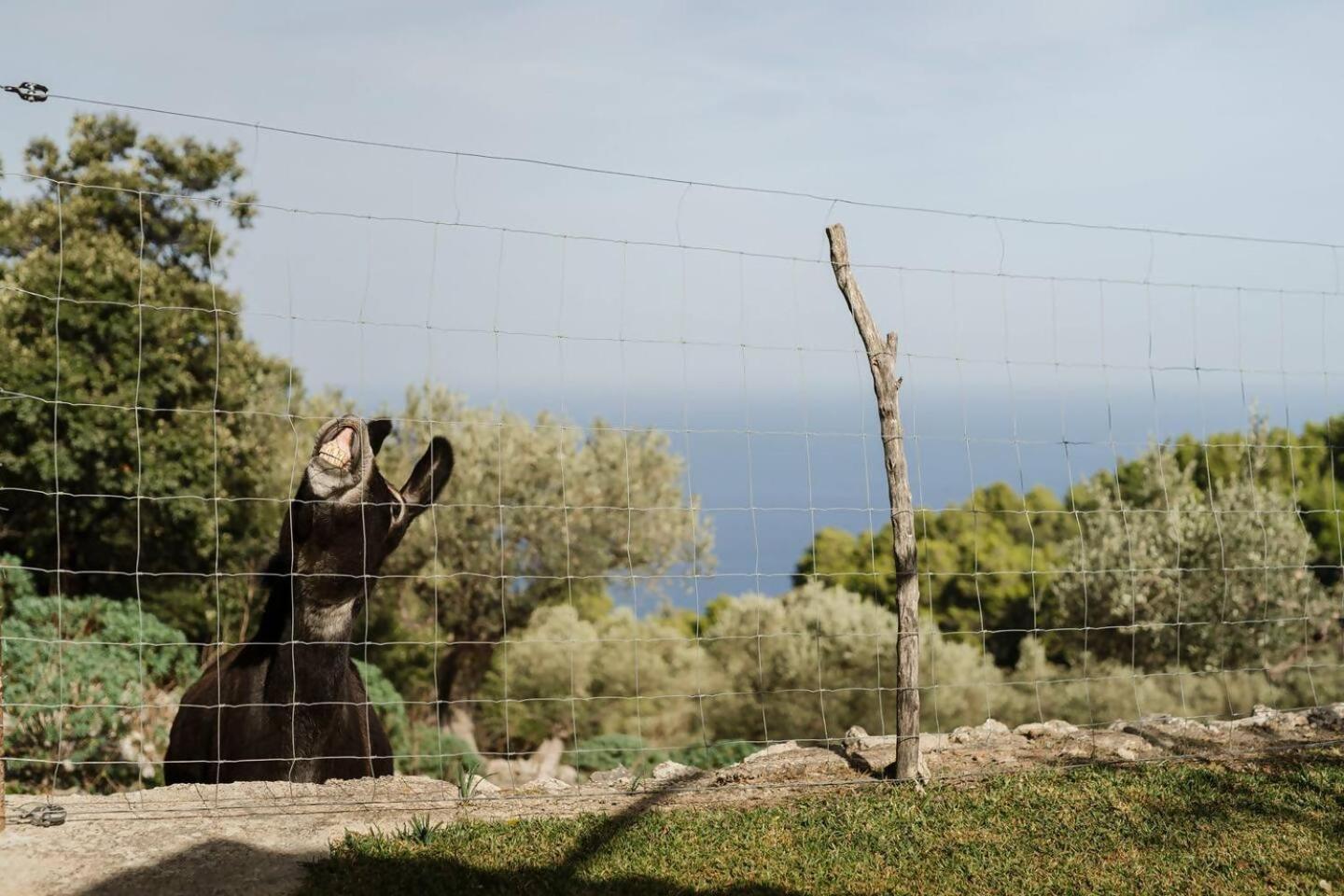 Casa Tramuntana